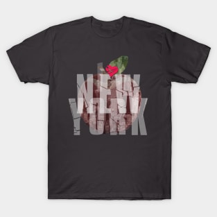 New York, New York T-Shirt